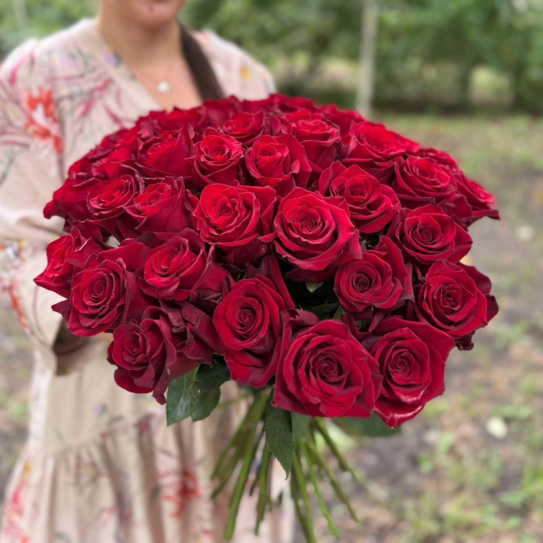 Красные Эквадорские розы 51 шт, арт. 751