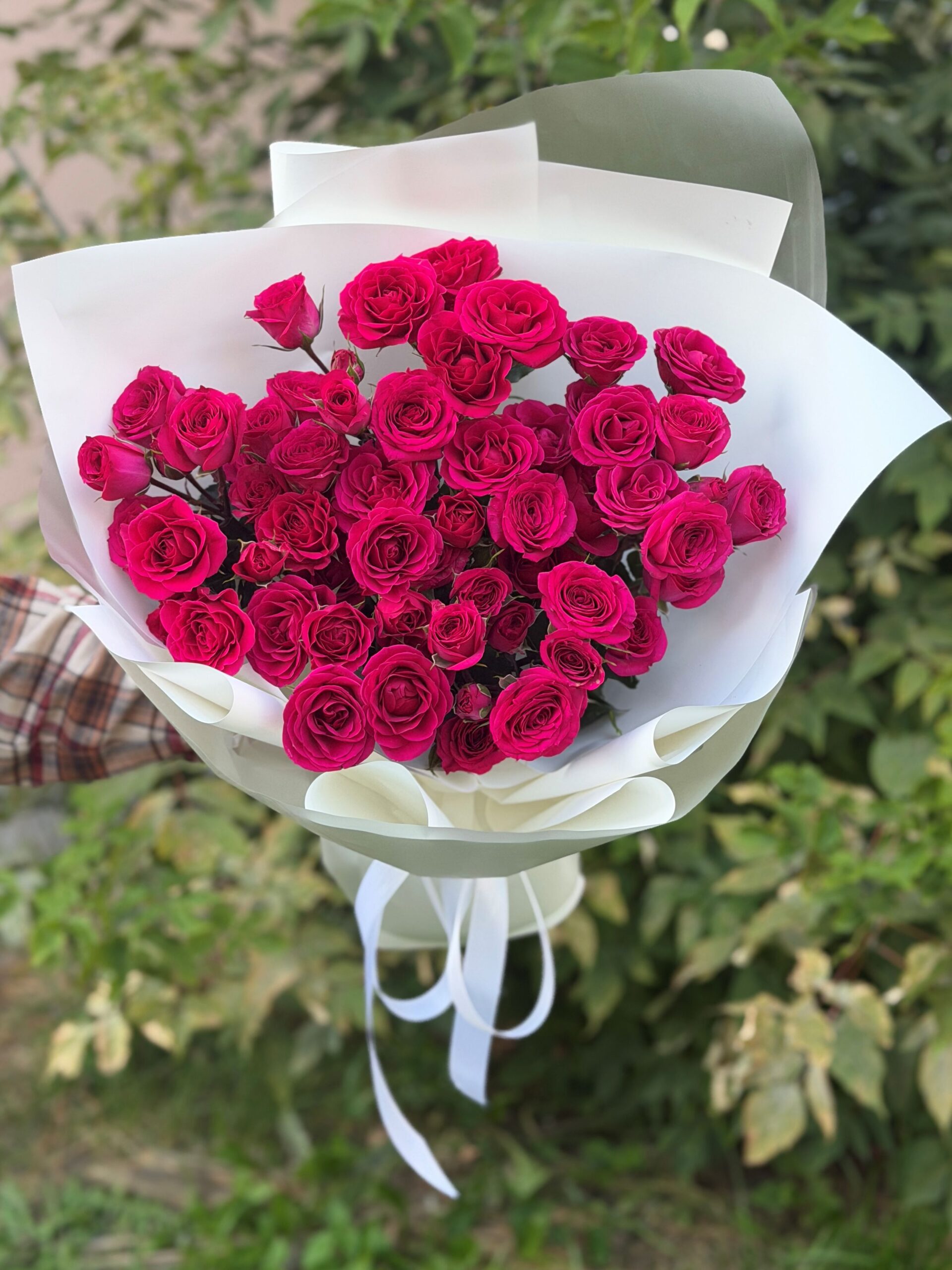 Малиновые кустовые розы 15 стеблей=45 бутонов, арт. 310 — изображение 4